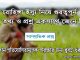 রোহিঙ্গা ইস্যু নিয়ে গুরত্বপুর্ণ কিছু তথ্য ও প্রশ্ন একসাথে জেনে নিন। All--About-Rohingya-Bangladesh-2017 | www.itmona.com