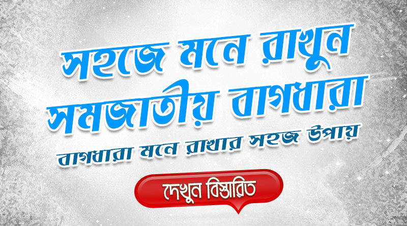 সহজে মনে রাখুন সমজাতীয় বাগধারা | বাগধারা মনে রাখার সহজ উপায়/টেকনিক | Easy Way to Learn Bengali Idioms Easy Way to Learn Bengali Idioms